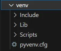python venv3 containner look 1